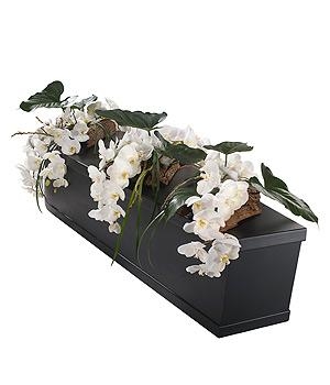 White Orchid Coffin Bar Trio.